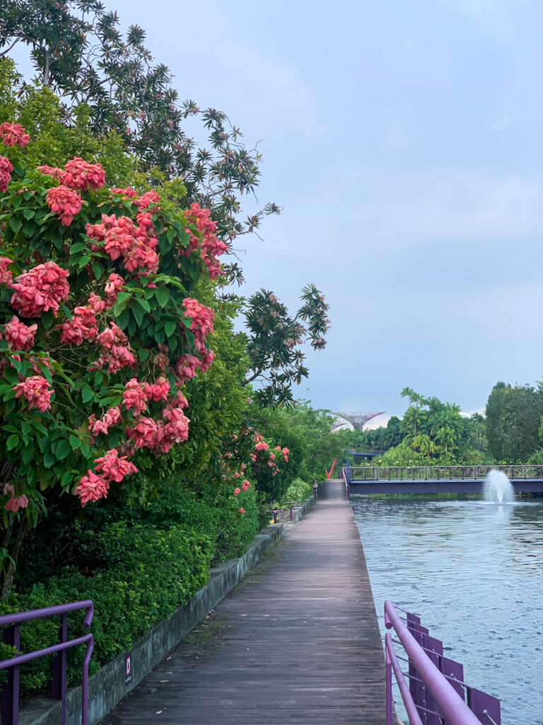 Gardens by the Bay Singapur