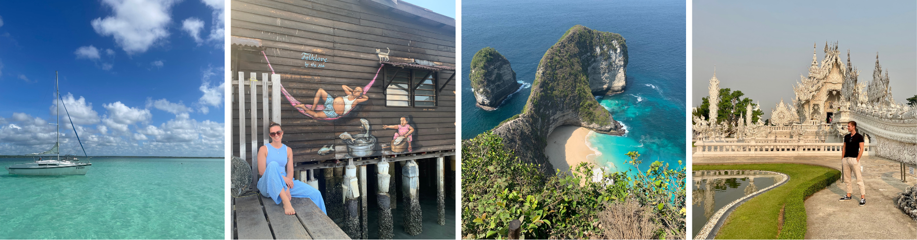 Coconut Chronicles